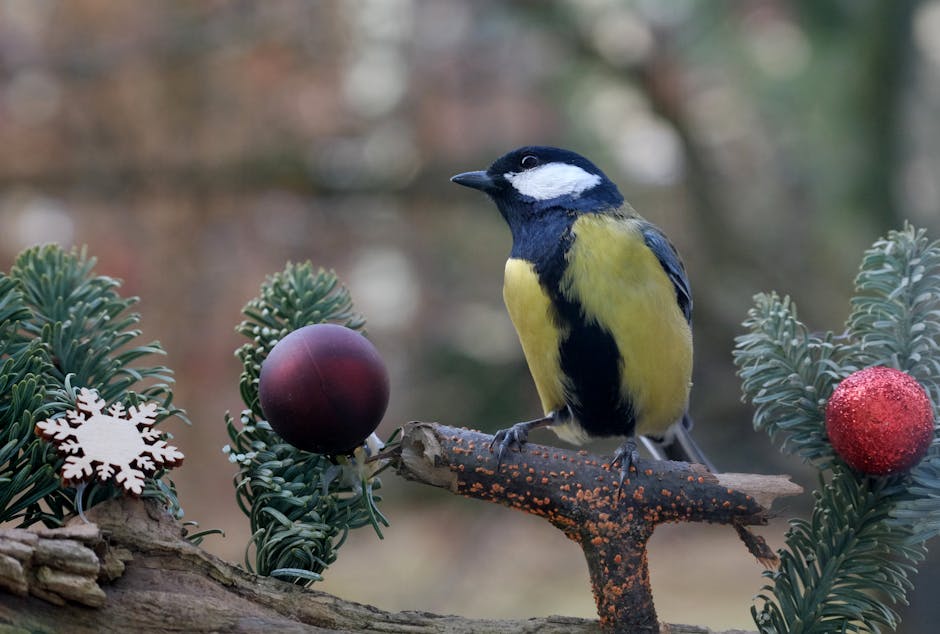 A Breakthrough Holiday Trend: New Birds-Eye View Experiences Take Flight This Year