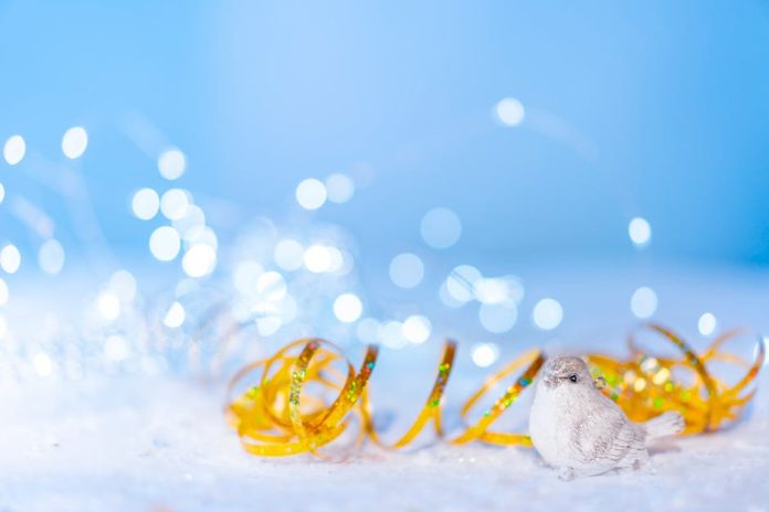A Breakthrough Holiday Trend: New Birds-Eye View Experiences Take Flight This Year