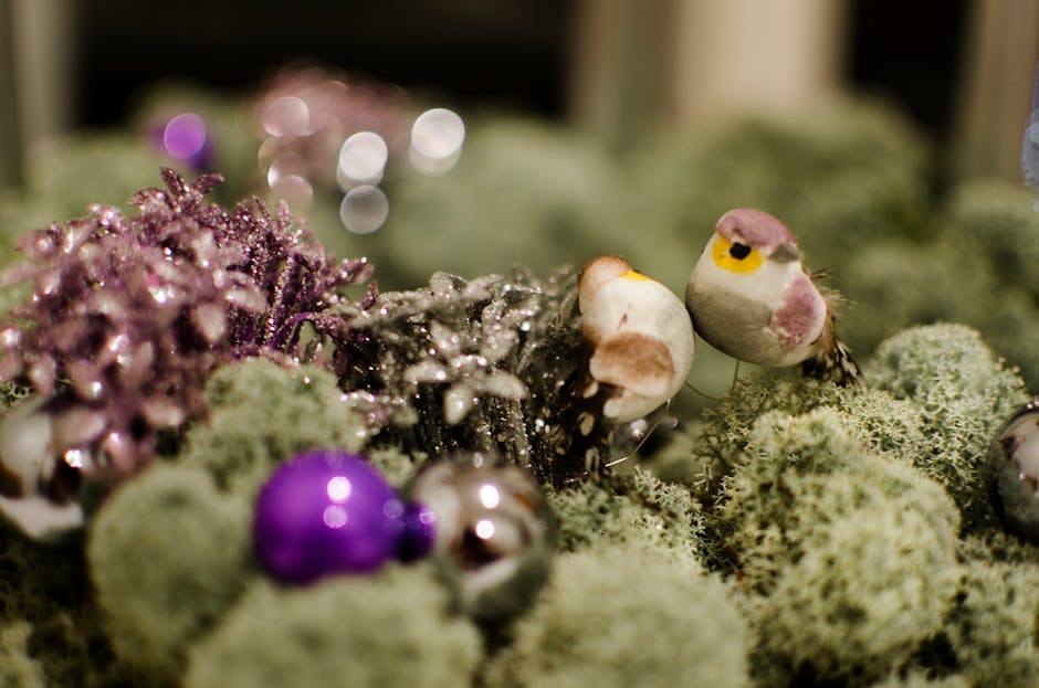 A Breakthrough Holiday Trend: New Birds-Eye View Experiences Take Flight This Year