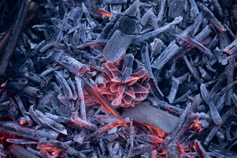 The Most Unusual Places Ashes Have Been Scattered Across South America