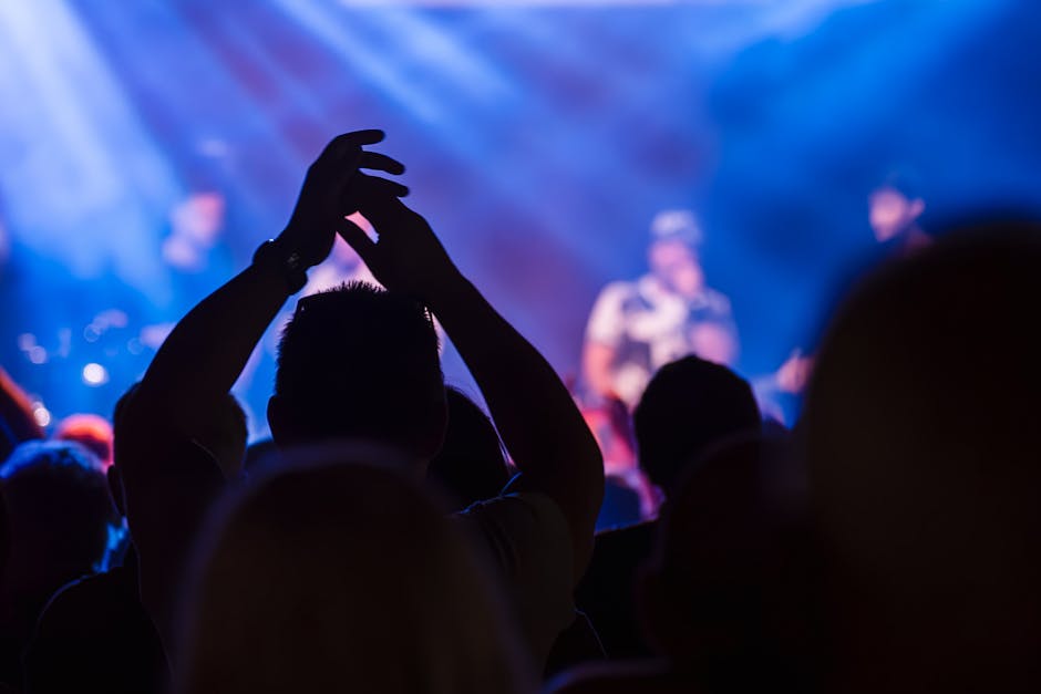 5 Affordable and Exciting Concert Venues This Fall Without Breaking the Bank